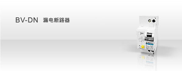 BV-DN系列